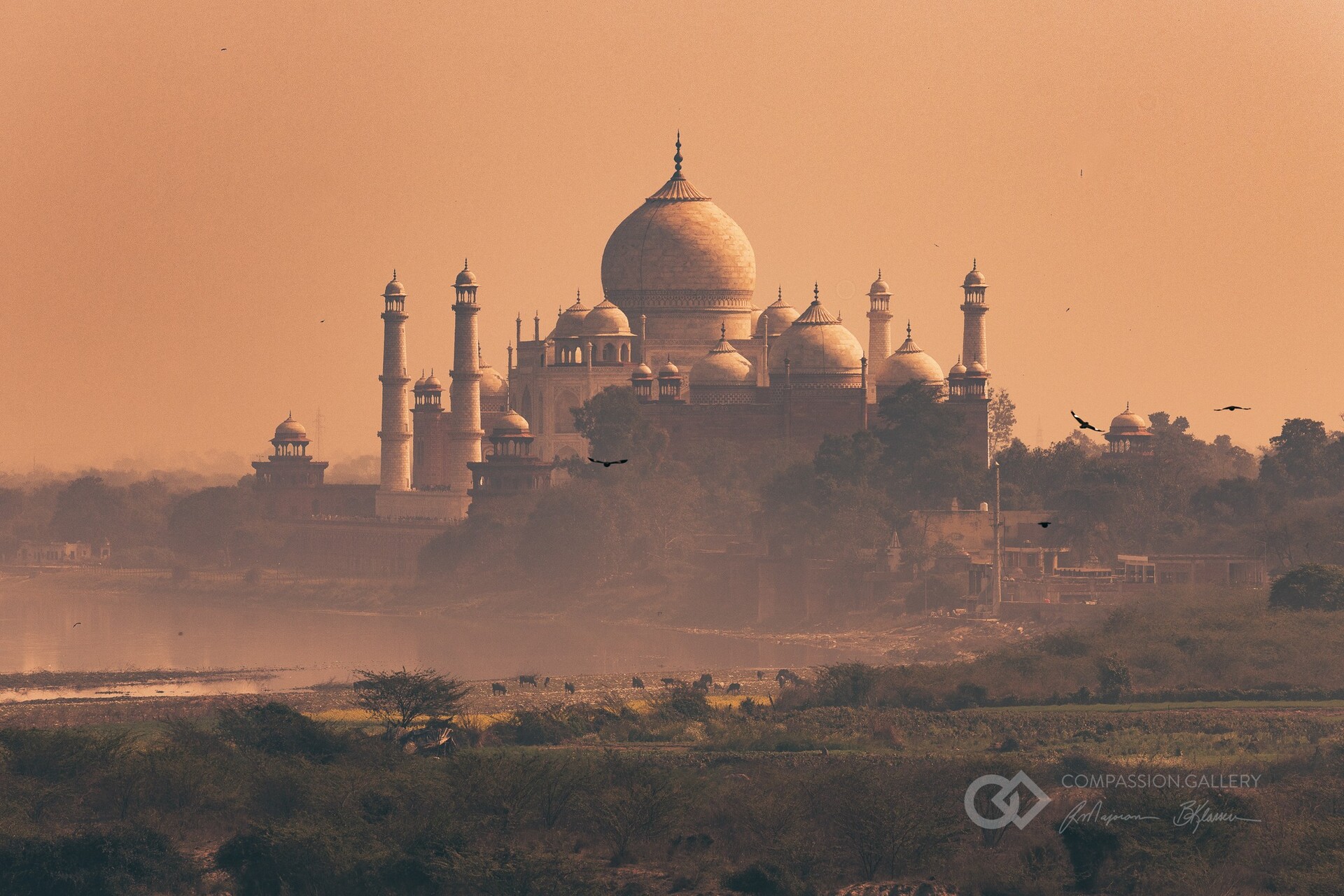 Photo of Taj Mahal, Agra, India